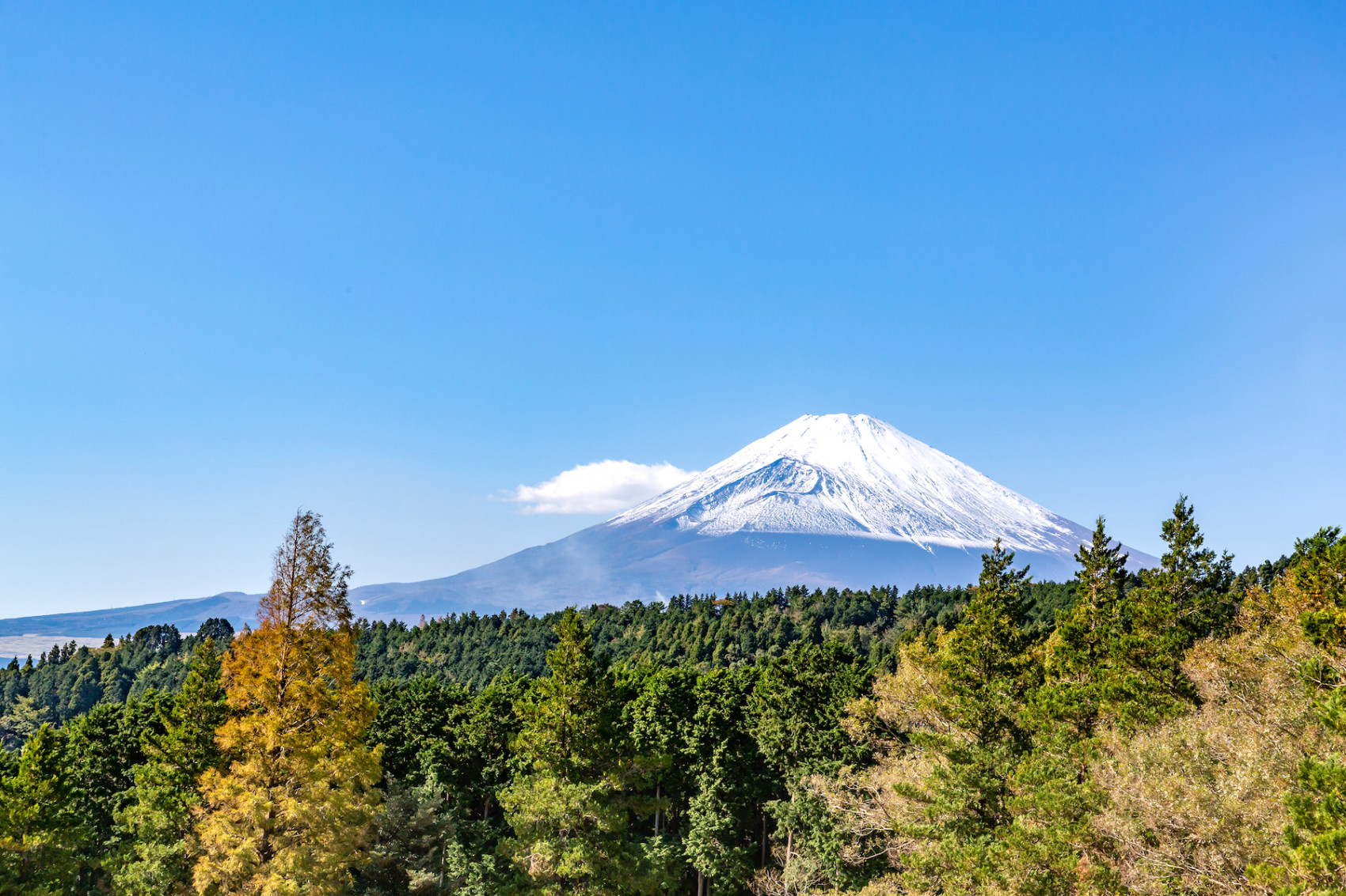All routes to Mt Fuji summit open for climbing season Japan Today
